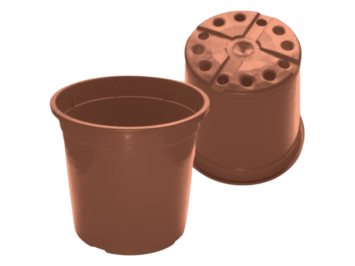 Terracota
