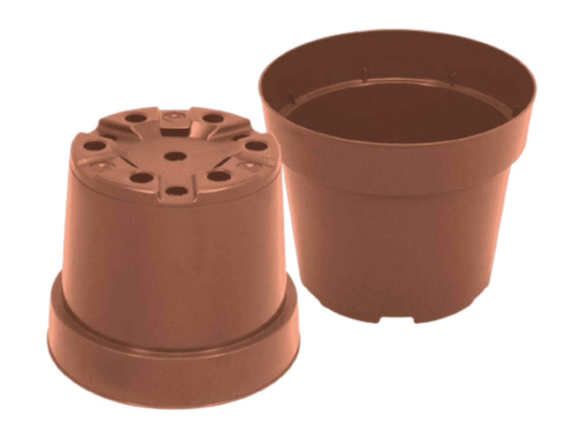 Terracota