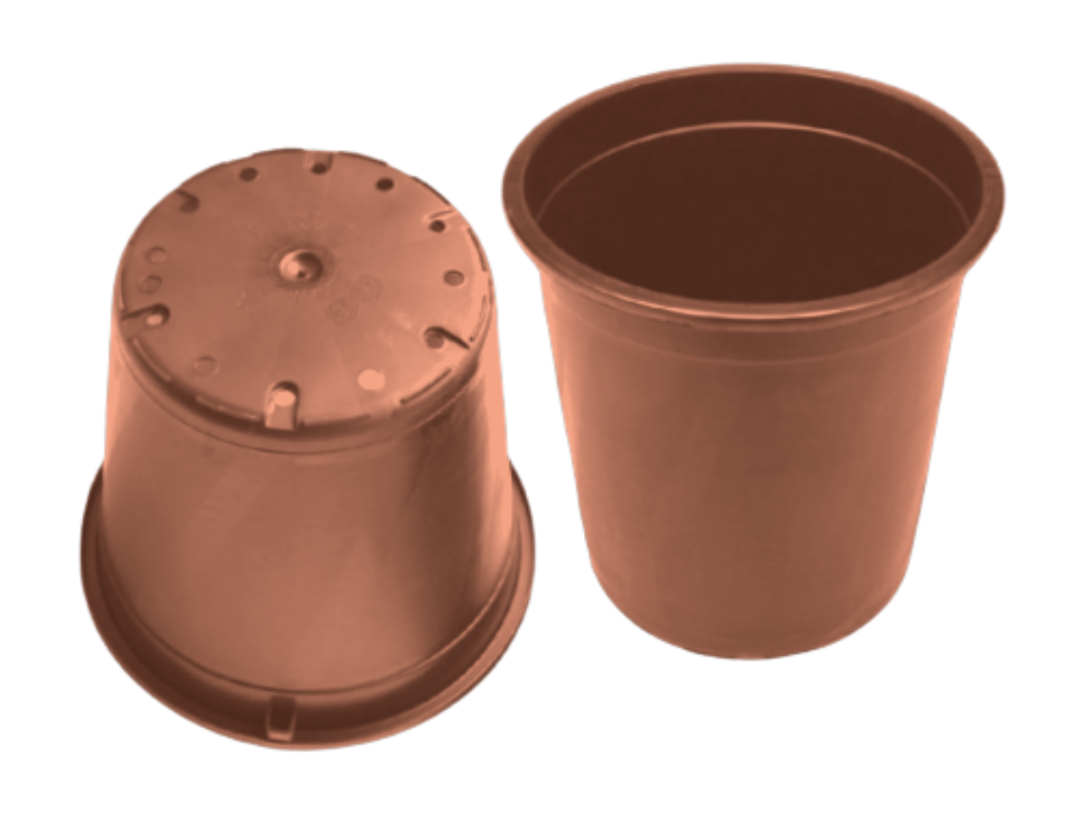 Terracota