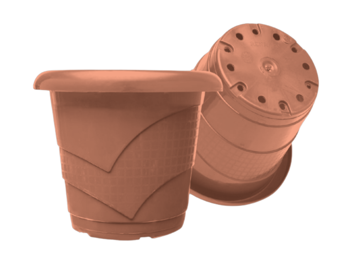 Terracota