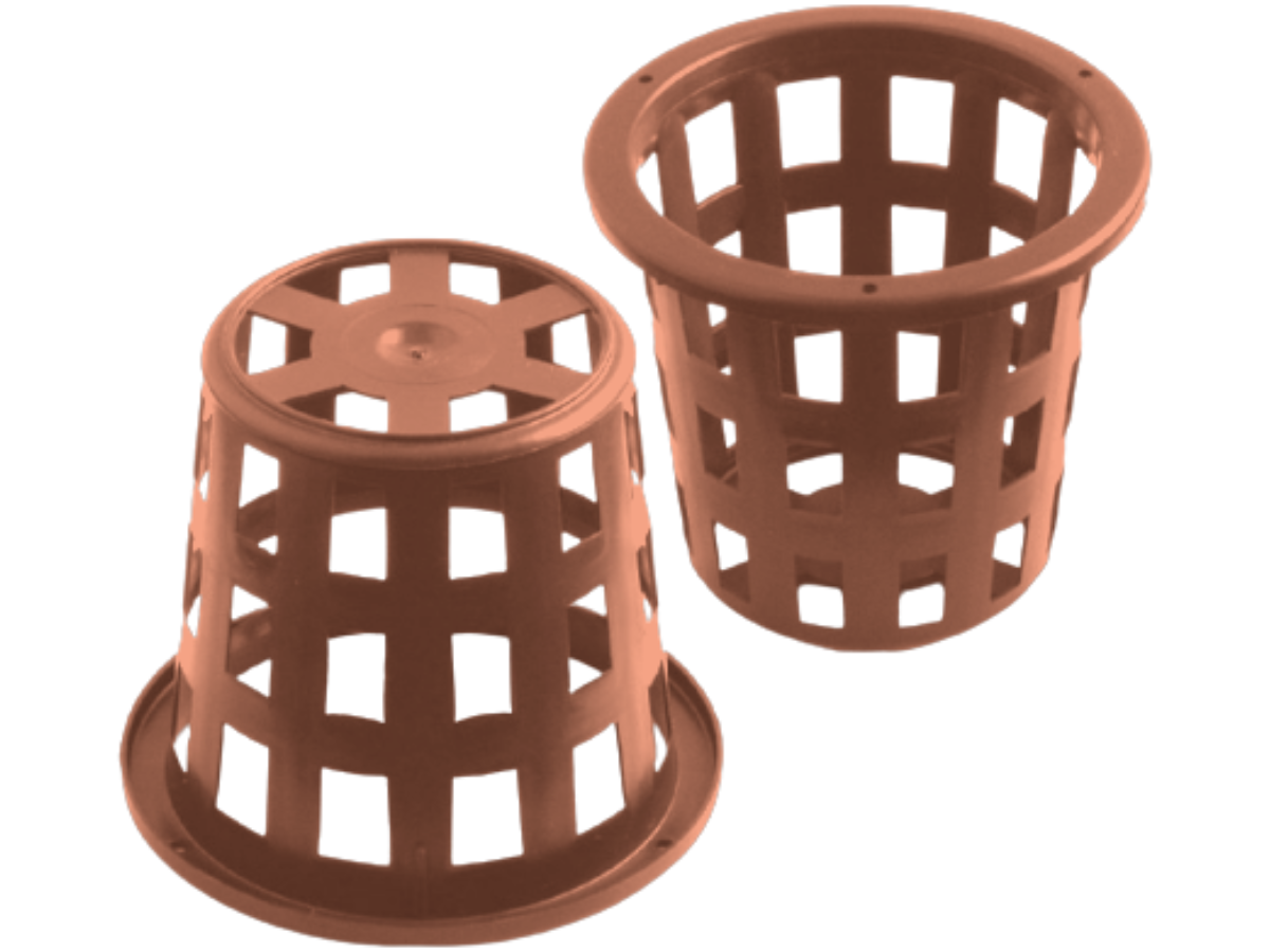 Terracota