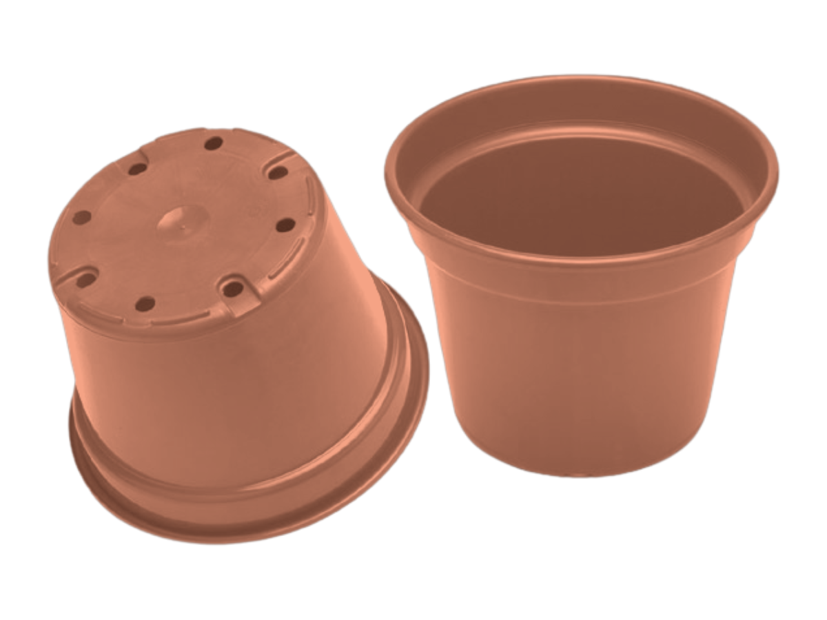 Terracota