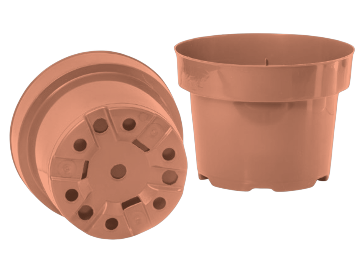 Terracota