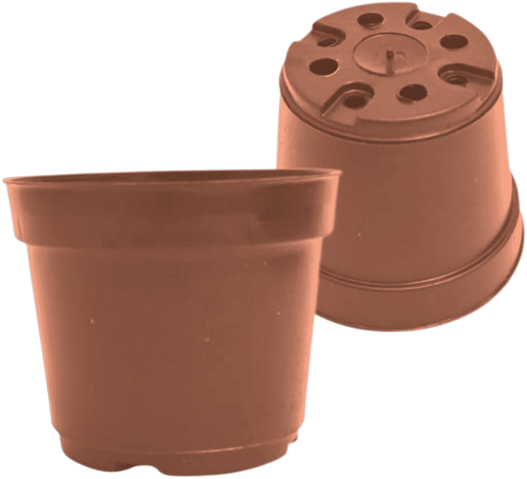 Terracotta